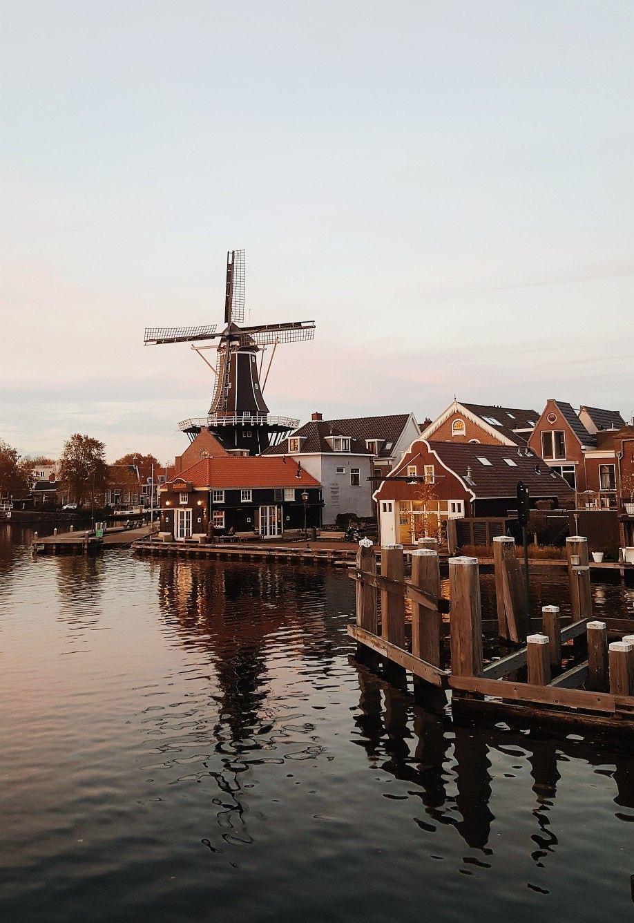 Schoonmaakbedrijf Haarlem voor zakelijke schoonmaak door CleanoPro